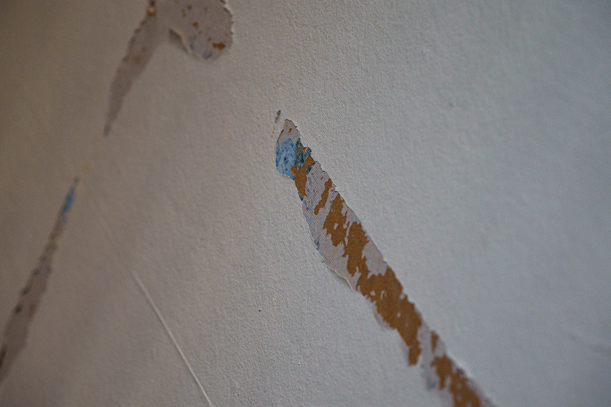 Basement Water Removal service in Deerfield Beach, FL